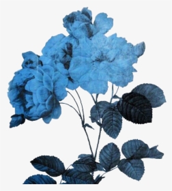 Flower Aesthetic Png Flowerart Art Alternative Freetoed - Transparent Blue Aesthetic Png, Png Download, Free Download