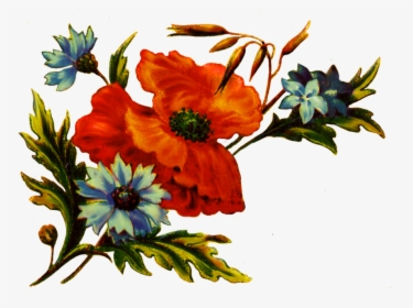 Floral Clipart For Decoration - Flower Png Hd Digital, Transparent Png, Free Download