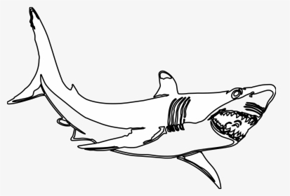Hammerhead Shark Clipart - Great White Shark Clipart Black And White, HD Png Download, Free Download