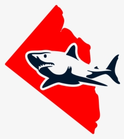 Red Triangle Tech Shark Stencil- - Black And White Shark Teeth Cartoon, HD Png Download, Free Download