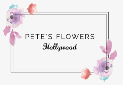 Hollywood, Ca Florist - Garden Roses, HD Png Download, Free Download