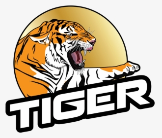 Tiger, Roaring, Right, Animal, Nature, Wildcat, Jungle - Tiger Png Name Images Hd, Transparent Png, Free Download