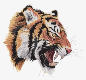 Tigre2iz Oscar Gamarra Bravo 2018 12 06t13 - Siberian Tiger, HD Png Download, Free Download
