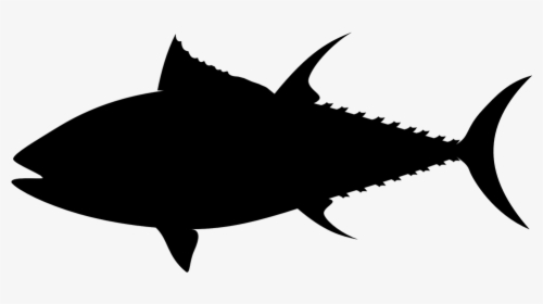 Clipart Shark Outline - Tuna Fish Silhouette, HD Png Download, Free Download