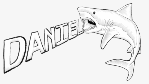 Great White Shark Drawing - Drawings Of A Great White, HD Png Download, Free Download
