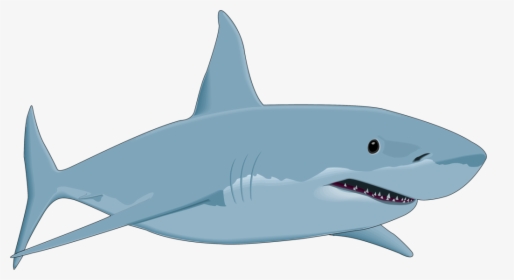 Free Fish Png Download - Great White Shark Clip Art, Transparent Png, Free Download