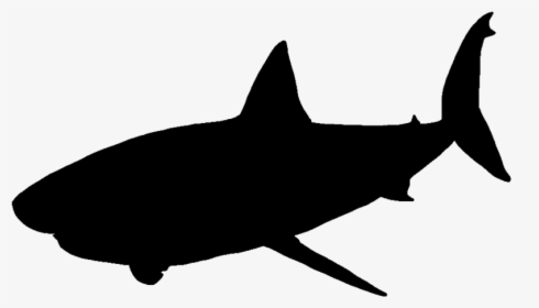 Great White Shark Vector Graphics Portable Network - Great White Shark Silhouette Png, Transparent Png, Free Download