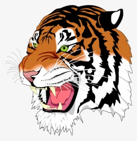 Snarling Tiger Transparent Png Image - Svg Example, Png Download, Free Download
