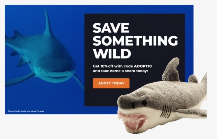 Adopt A Shark - Dont Miss Out Sale, HD Png Download, Free Download