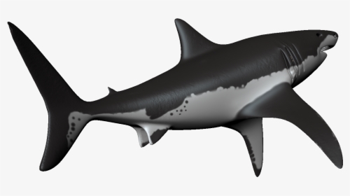 Transparent Hammerhead Shark Clipart - Apng Shark, Png Download, Free Download