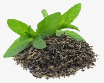 Green Tea Matcha Flowering Tea Oolong - Leaf Green Tea Png, Transparent Png, Free Download