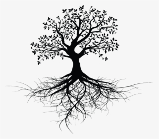 Tree With Roots Design - Tree With Roots Silhouette Png, Transparent Png, Free Download