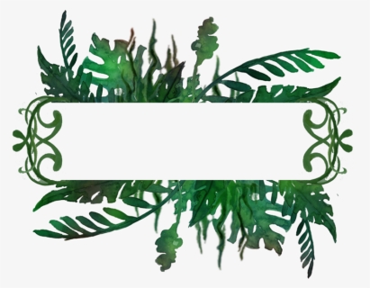 Transparent Jungle Frame Clipart - Drawing, HD Png Download, Free Download