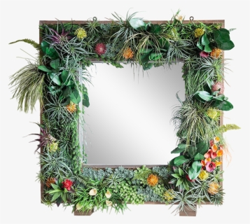 Transparent Jungle Frame Png - Wreath, Png Download, Free Download