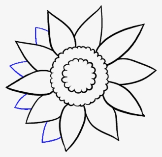How To Draw Sunflower - Easy How To Draw A Sunflower, HD Png Download, Free Download