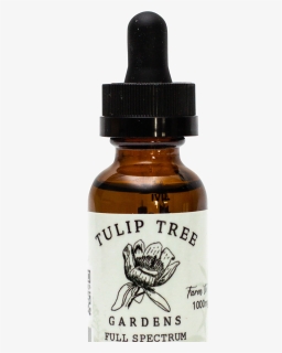 1000mg - Tincture, HD Png Download, Free Download