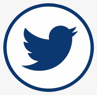 ©2018 Holy Name Medical Center - Twitter Bird Grey, HD Png Download, Free Download