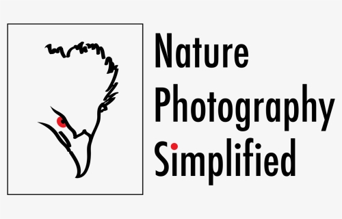 Transparent Canon Dslr Png - Dt Photography, Png Download, Free Download