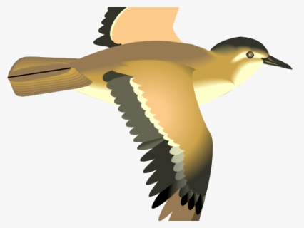 Sea Bird Clipart 3 Bird - Flying Bird Clip Art, HD Png Download, Free Download