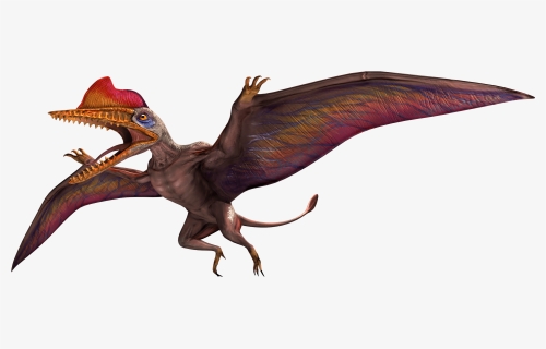Darwinopterus Jurassic World Alive, HD Png Download, Free Download
