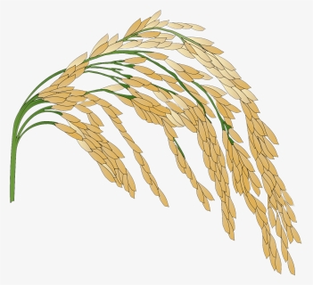 Rice Logo Transparent Background , Png Download - Rice Crop No Background, Png Download, Free Download