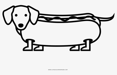 Hot Dog Coloring - Dachshund, HD Png Download, Free Download