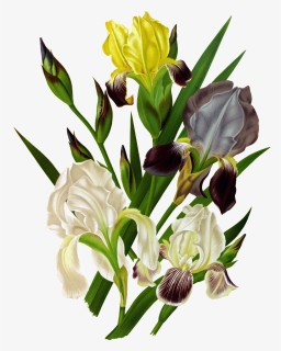 Hd White Orchid Png Element Design - Bouquet, Transparent Png, Free Download