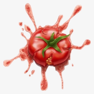 Ketchup Splatter - Squashed Tomato Drawing, HD Png Download, Free Download