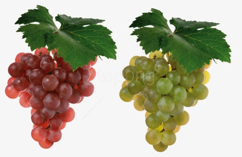 Free Png Download Grapes Png Images Background Png - Grapes Fruit, Transparent Png, Free Download