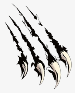 Claw Scratch Png Image - Lion Claw Clip Art, Transparent Png, Free Download
