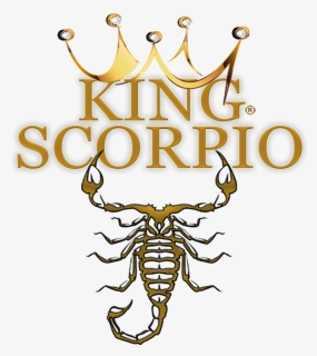 King Scorpio Beach Bar Restaurant - Scorpio The King, HD Png Download, Free Download