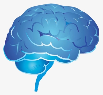 Blue Brain Png Image Transparent - Psychology Brain Png, Png Download, Free Download