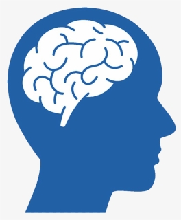 Blue Brain Png Picture - Transparent Head With Brain, Png Download, Free Download