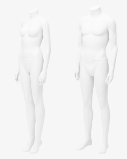 And Bust Form Hire - Mannequin, HD Png Download, Free Download