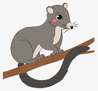Possum Clipart - Rat, HD Png Download, Free Download