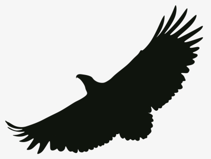 Bald Eagle Portable Network Graphics Black And White - Eagle, HD Png Download, Free Download