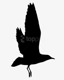 Free Png Bird Silhouette Png - Bird Silhouette Transparent Background, Png Download, Free Download
