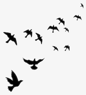 Flock Of Flying Bird Png Free Image - Birds Flying In The Sky Drawing, Transparent Png, Free Download