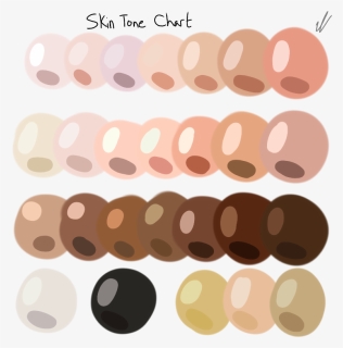 Skin Tone Reference Chart, HD Png Download, Free Download