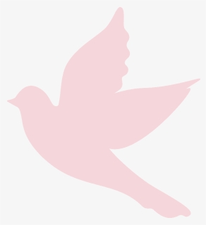 Dove Png, Transparent Png, Free Download