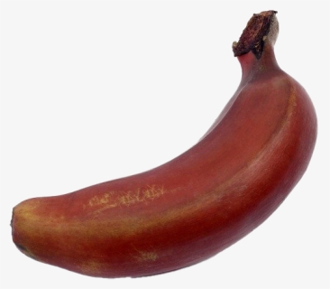 Red Banana Png Free Background, Transparent Png, Free Download