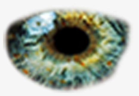 Eyes Png, Transparent Png, Free Download