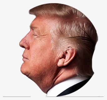 Trump Head Png, Transparent Png, Free Download