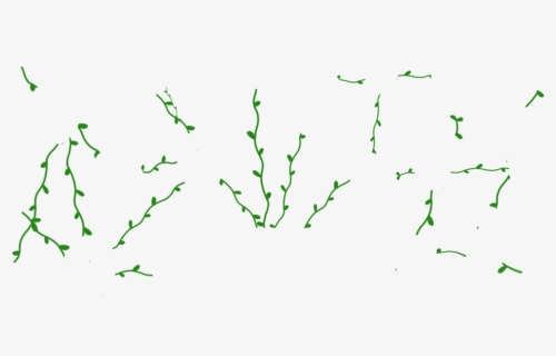 Vines Png, Transparent Png, Free Download