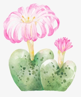 Hand Painted Rare Varieties Cactus Png Transparent, Png Download, Free Download