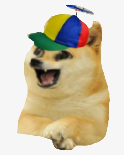 Doge Png, Transparent Png, Free Download