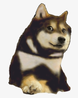 Doge Png, Transparent Png, Free Download