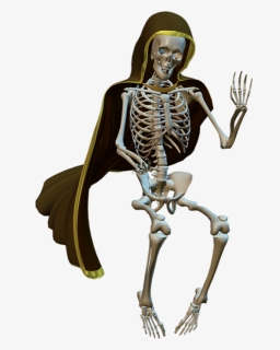 Squelette Png, Tube Halloween / Scheletro / Skeleton, Transparent Png, Free Download