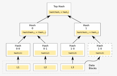Hash Tree Merkel Tree For Bitcoin, HD Png Download, Free Download