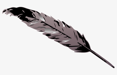 Feather Png, Transparent Png, Free Download